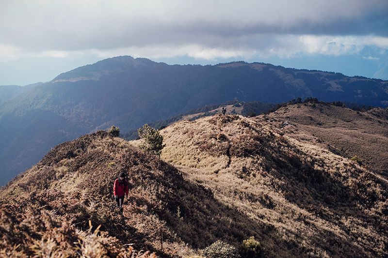 聆聽大自然的神秘呢喃，夏朧樂在無限自由