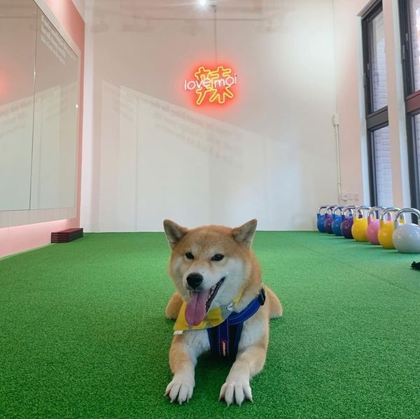 力與美結合，打造粉紅色的溫馨空間－Love Moi 愛自己健身工作室