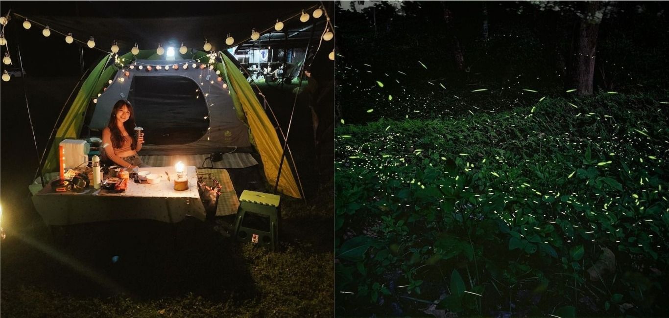 浪漫指數爆表！全台絕美螢火蟲露營地TOP5