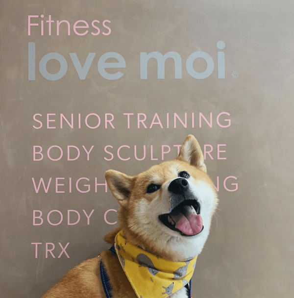 力與美結合，打造粉紅色的溫馨空間－Love Moi 愛自己健身工作室