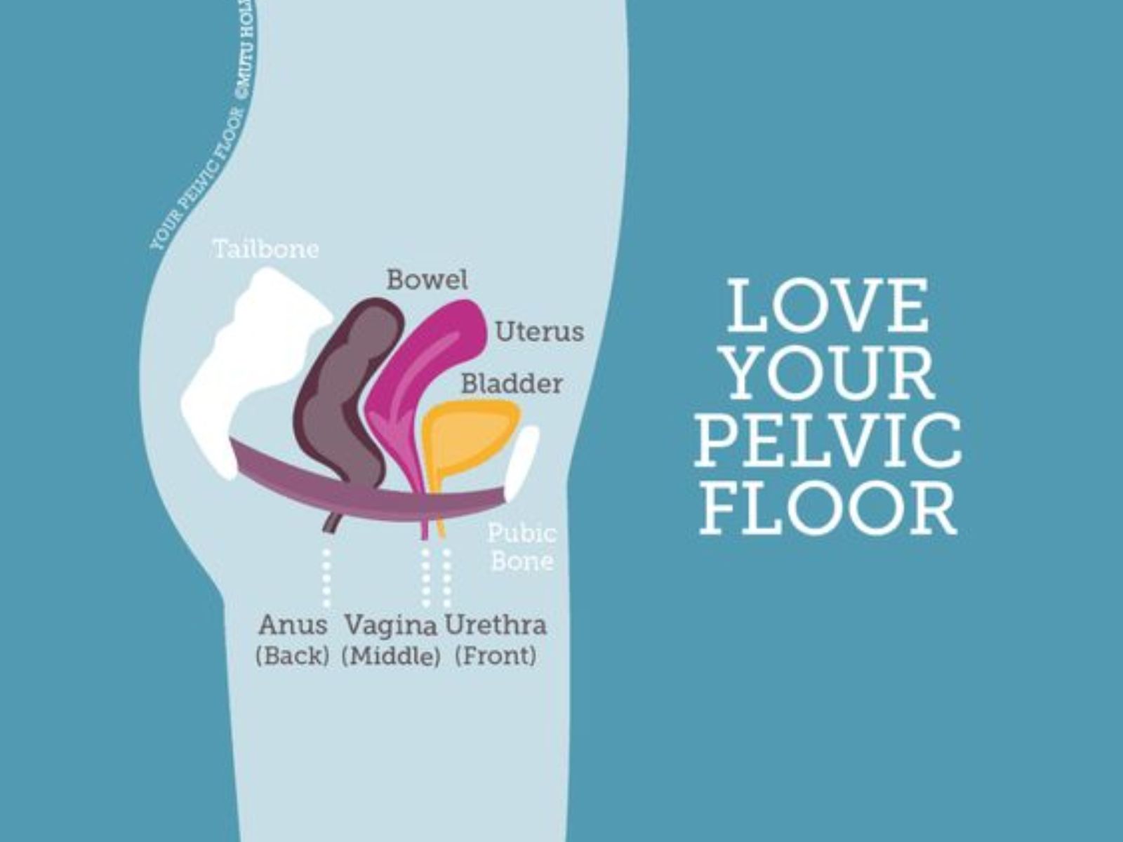 什麼是「反向凱格爾運動」？強化骨盆底肌肉更能提升男女性事！