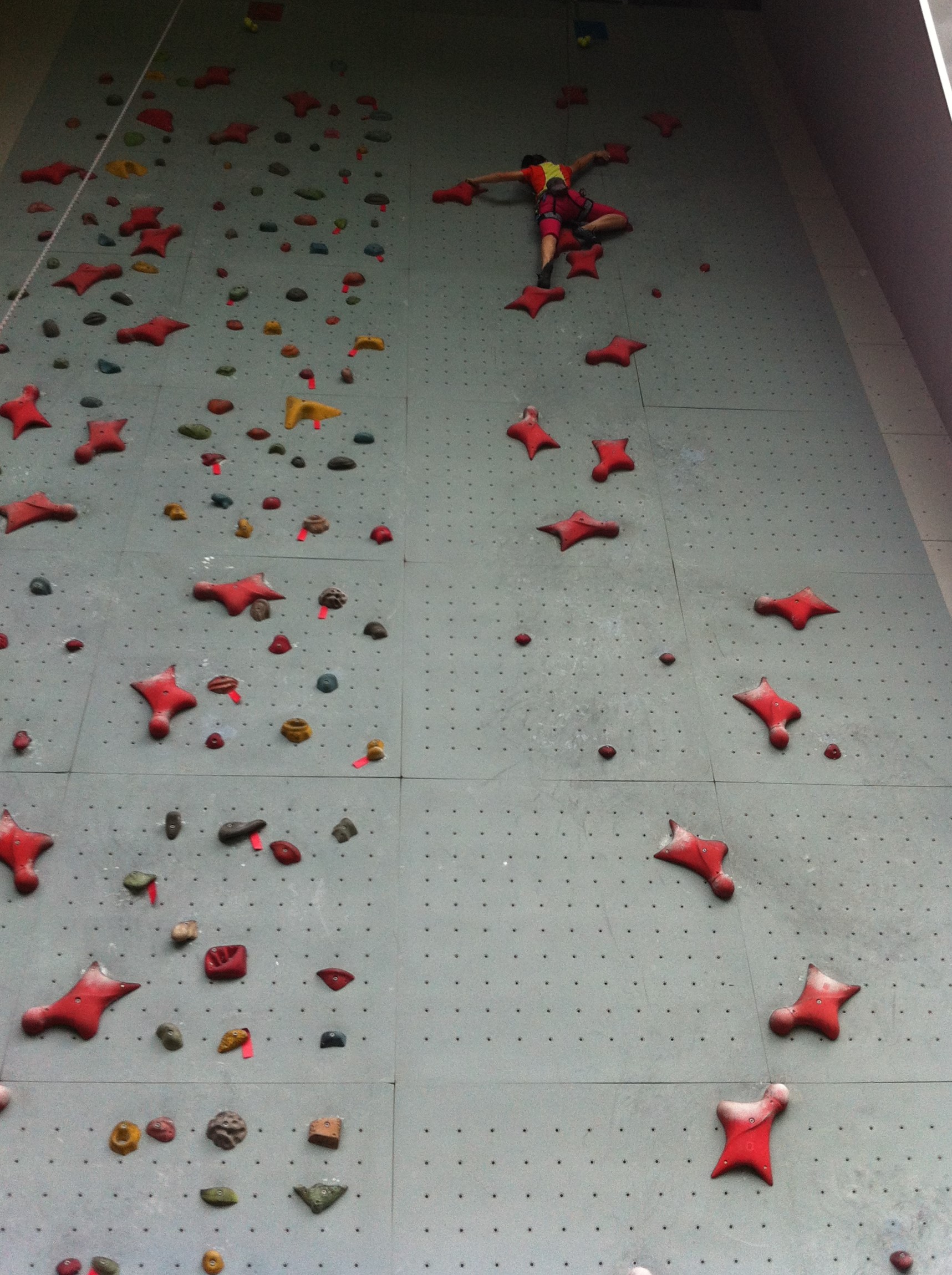 東京奧運新增項目—「攀岩」，如何透過飲食，享受攀岩同時達到健身的效果。